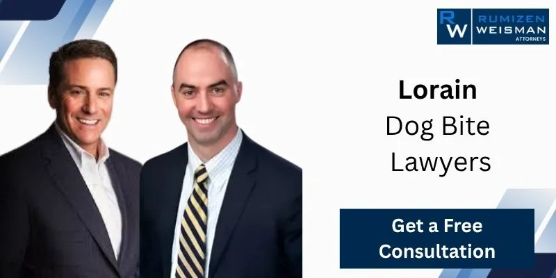 Lorain Dog Bite Lawyer